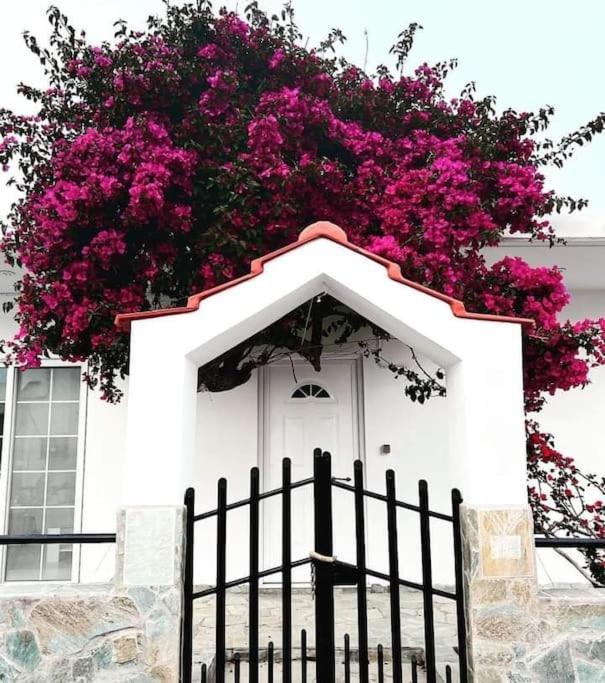 Annika'S Summer Dream Livadia  Esterno foto